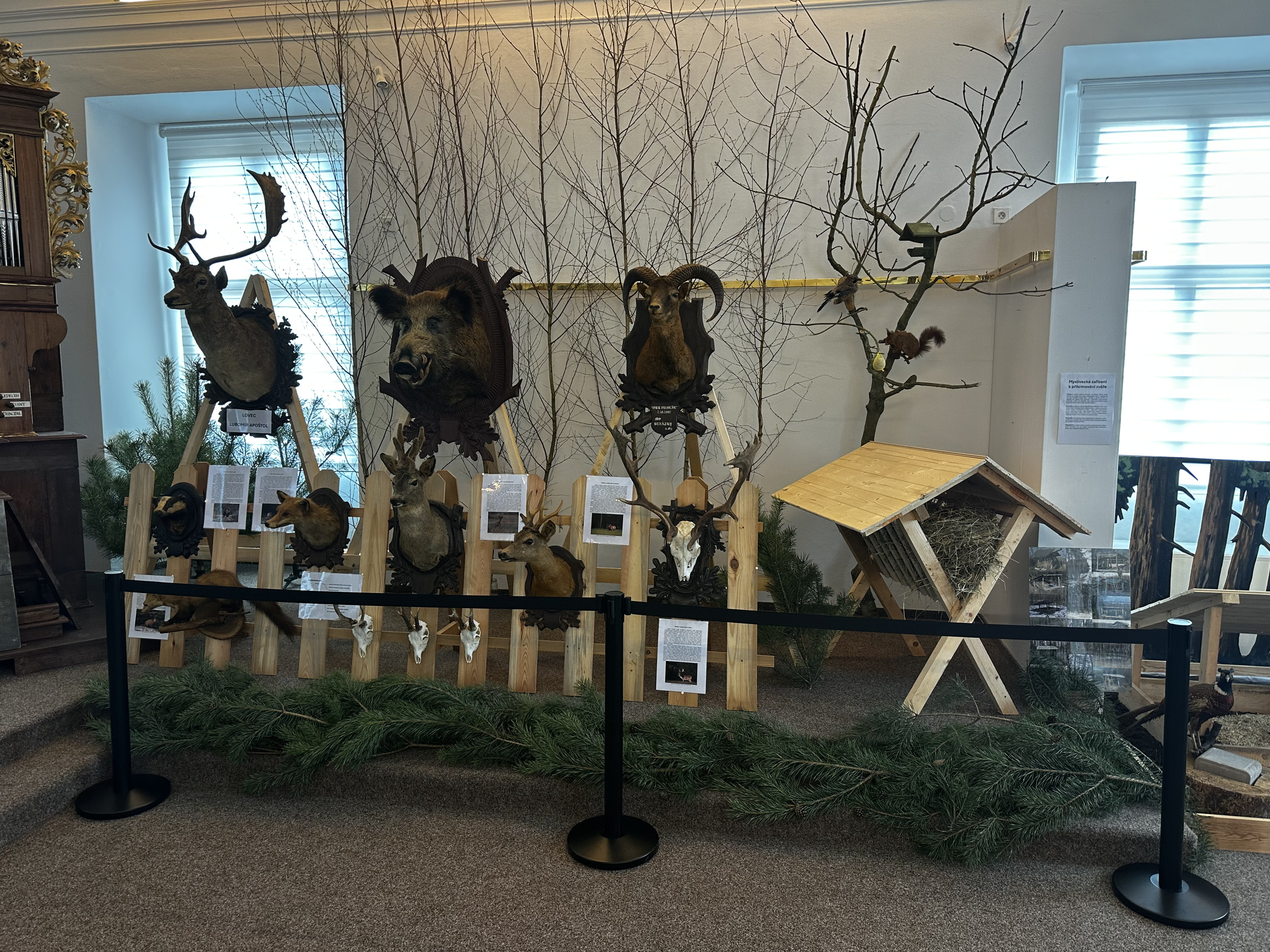 Výstava myslivosti v Benátkách nad Jizerou