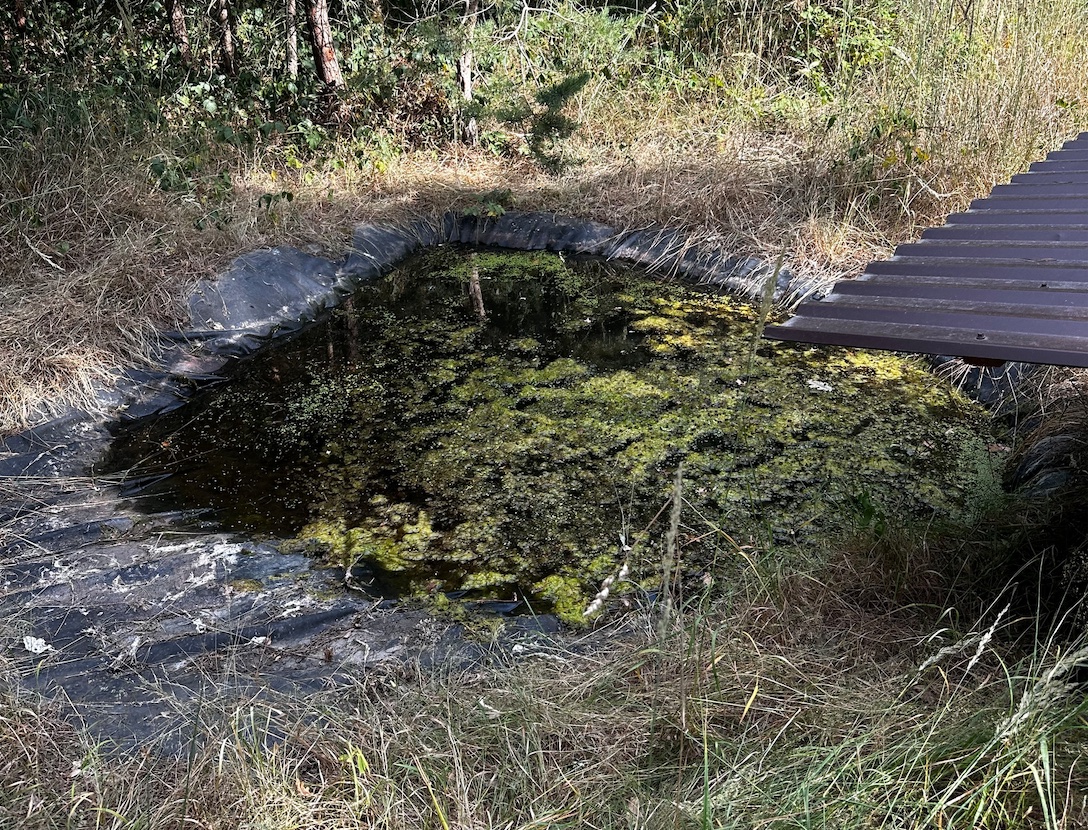 Voda a divoká zvěř