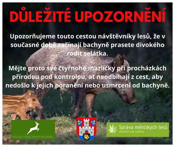 Bezpečnost vašich čtyřnohých mazlíčků